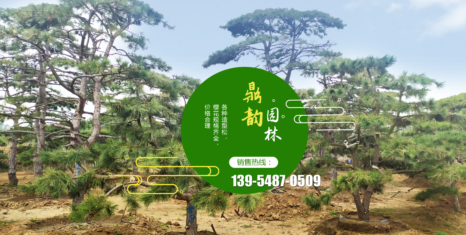 濟寧市同創(chuàng)工礦設備有限公司 